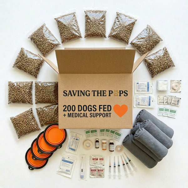 Guardian Pack