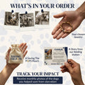 Free Onyx Paw Bracelet