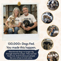 Free Auburn Paw Bracelet
