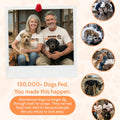 Free Misty Paw Bracelet