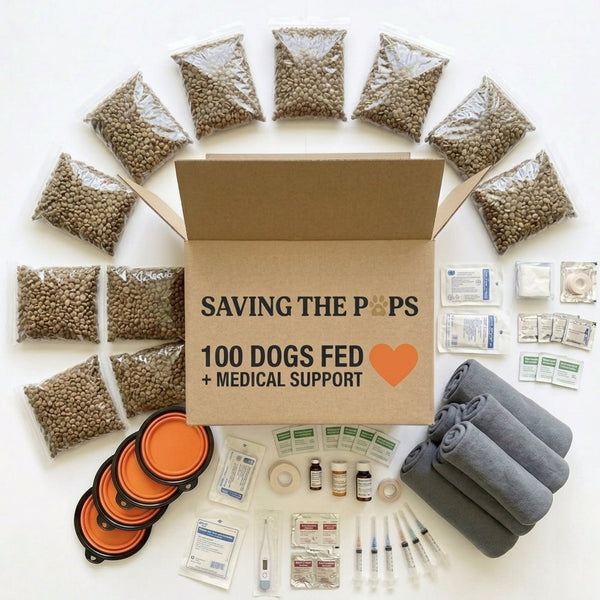 Guardian Pack